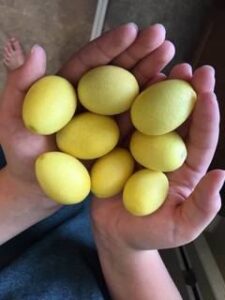 indoor-winter-gardening-ideas